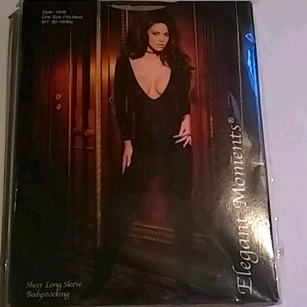 Elegant moment sheer long sleeve body stocking